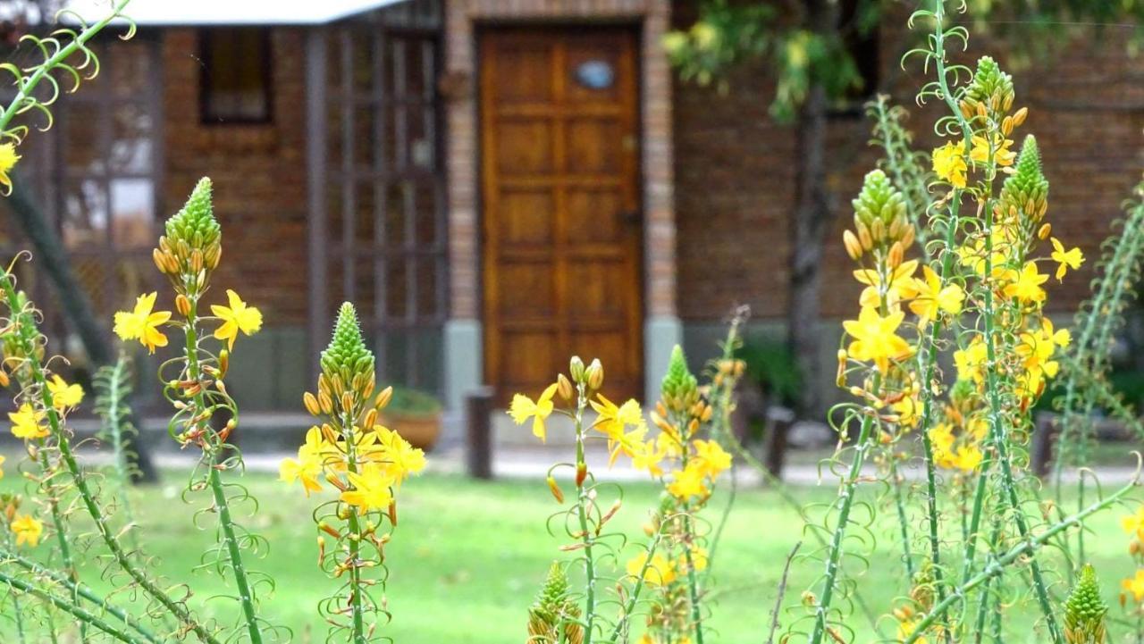 Cabanas Agua Que Brilla Mina Clavero Exteriér fotografie